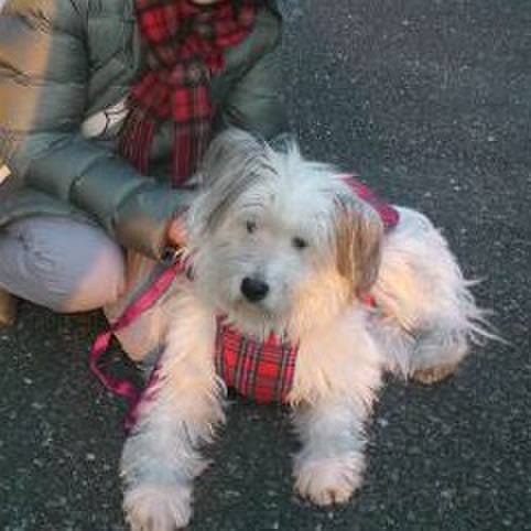 342a3752 0b2c 4456 ae18 ebf1947d071b 1513217841384