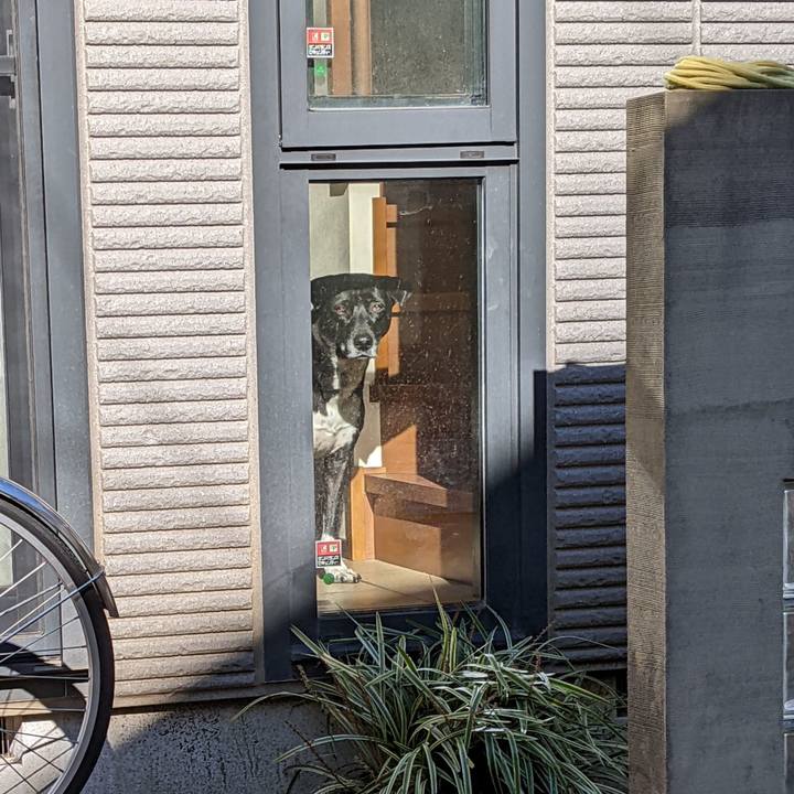 342a4a8f 7e94 4c98 b3e1 459c52df3595 1672052311628