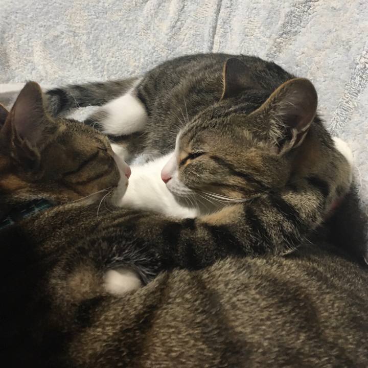 342a7775 5332 4417 af49 906d676e3595 1670913846482