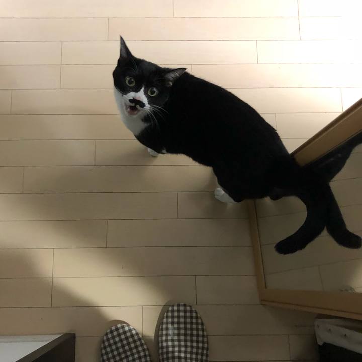 342aa4b7 1ea1 4747 b5d7 89b9492aea0c 1544715306790