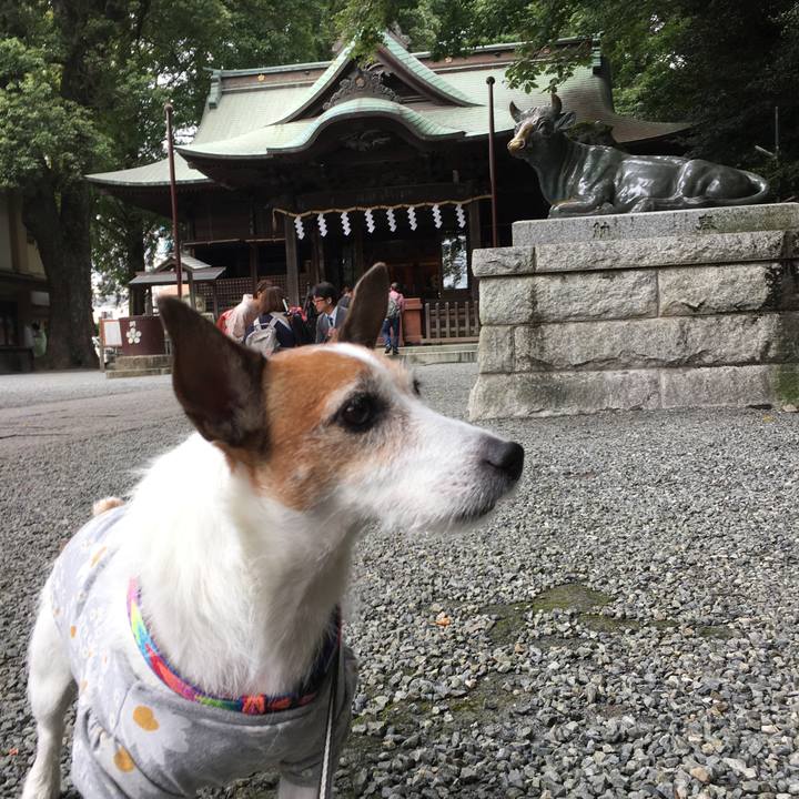 342ac467 55f1 4026 b377 b1e1d173a2b3 1633827386127