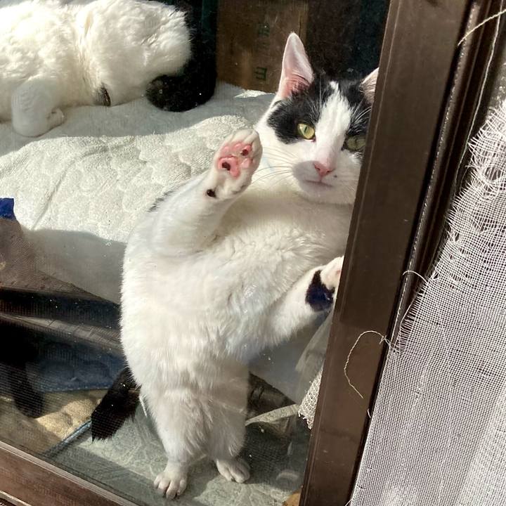 342accf2 713e 49de b121 ba88746a23f6 1650612312650