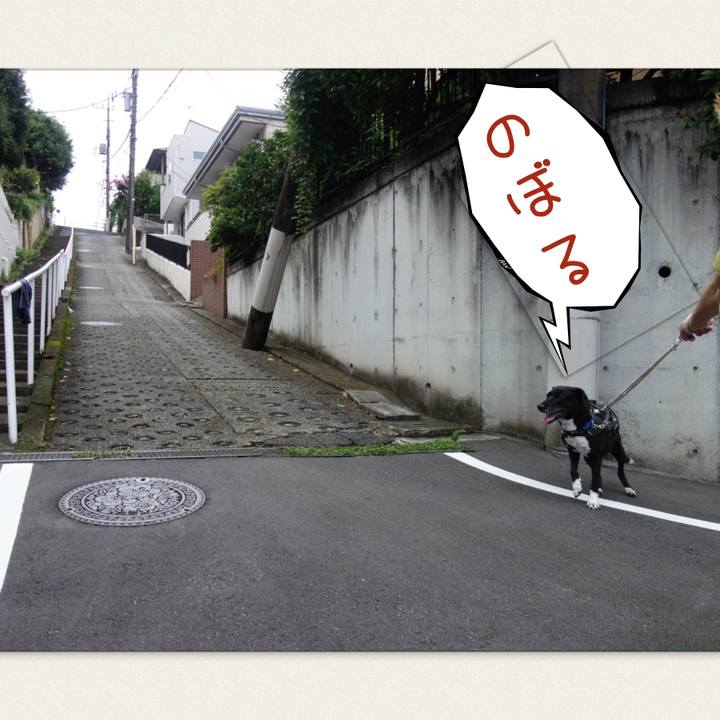 342ae6d6 0eb4 45a4 9fa4 34ea5460a995 1661386901529