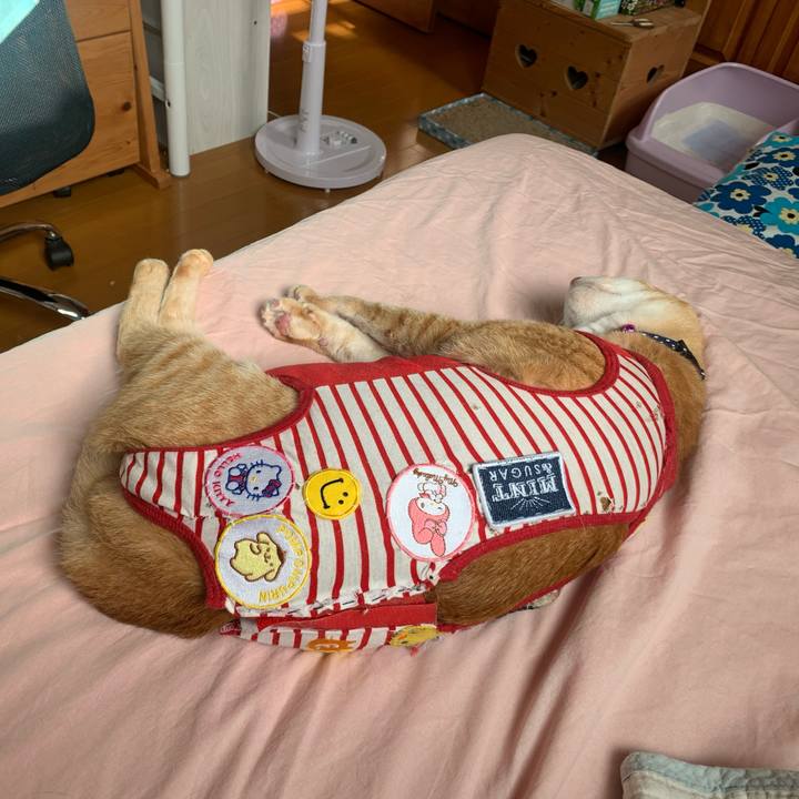 342af6ce 19f4 45ec b1e1 719e9c12e7f7 1593906030641