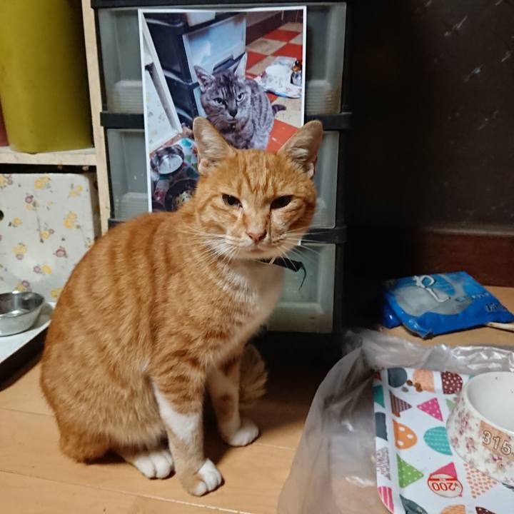 342b177b 087a 4eb1 b202 1729fcac37dd 1600373872581