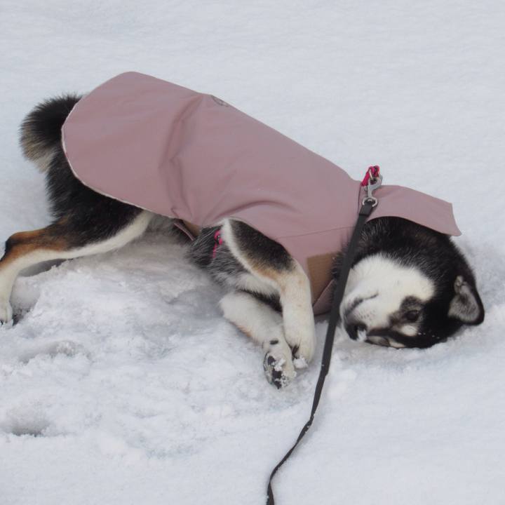 342b1fa5 6ba4 4310 81c9 0d55367ba164 1612915836032