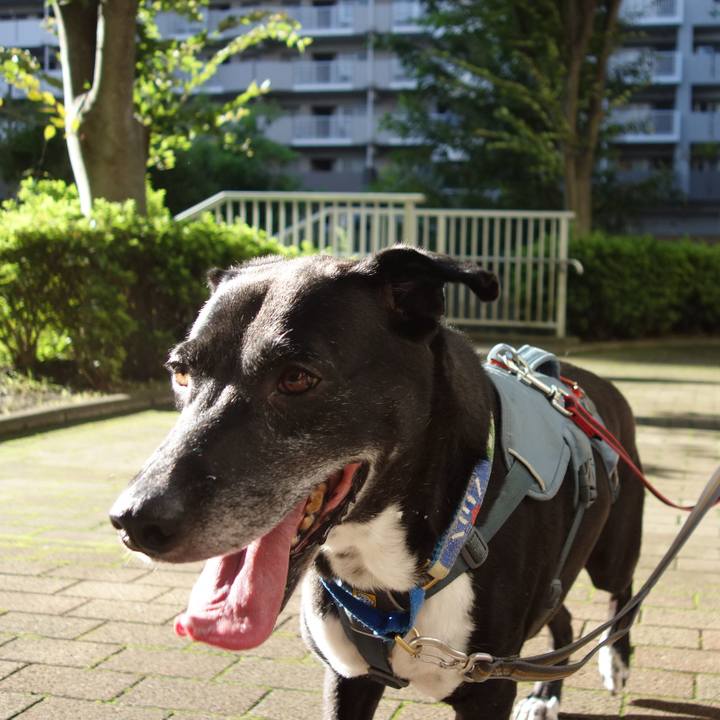 342b2927 2a2b 4c05 95a3 7ce620899c40 1725239352309