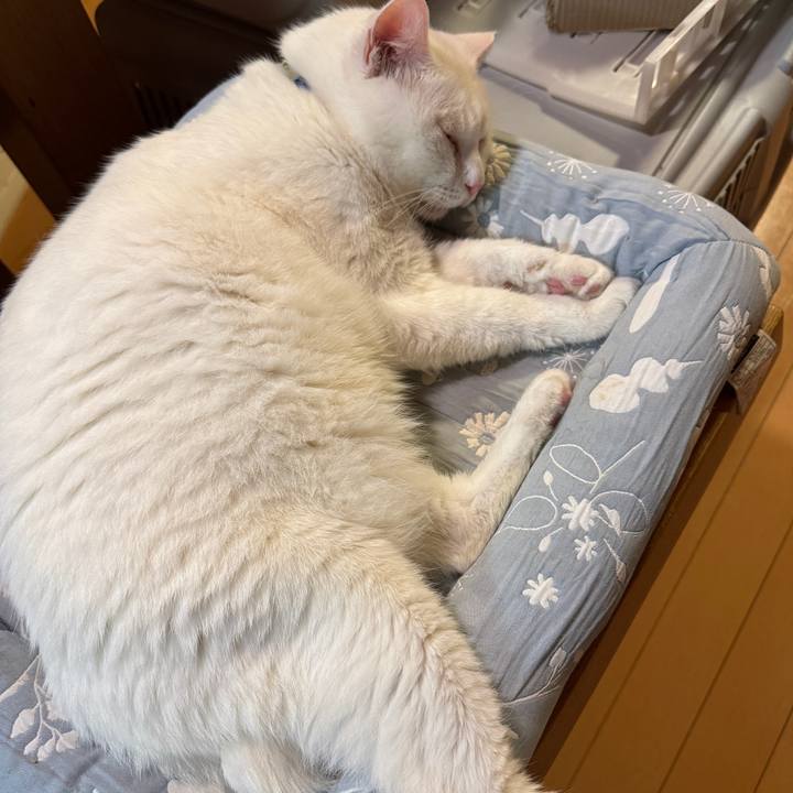 342b2a8d 21a9 4692 9f71 8f5b844997e4 1762011535500