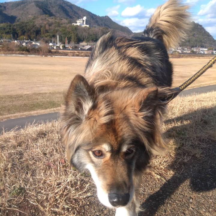 342b2daa 2873 4d02 acd3 78381d8a6af6 1640919972158