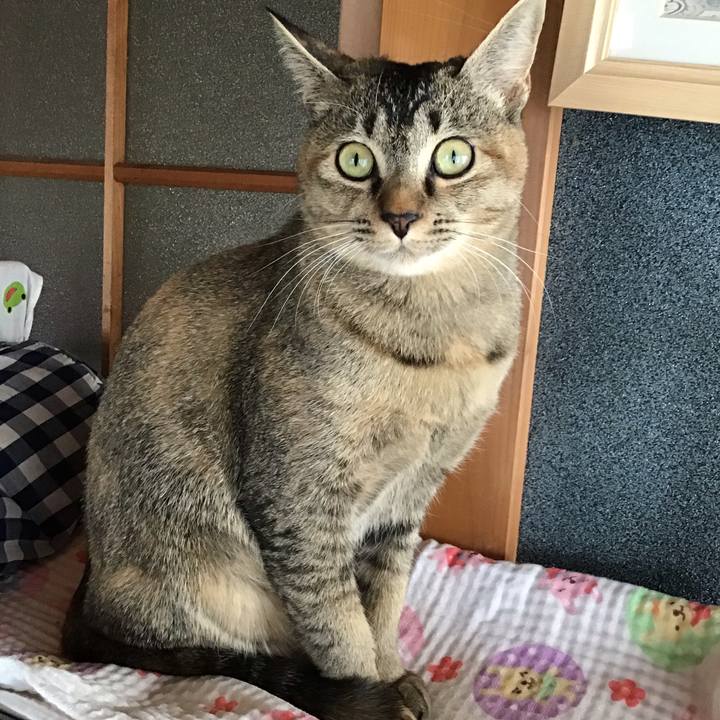 342b3b8a 4716 4b9c b829 49d43faaa6bd 1575853304590