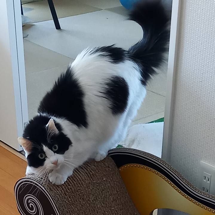 342b5159 6a56 4332 8aee 76835da6d24e 1616503200819