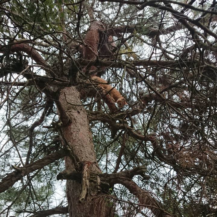 342b83e6 8714 4af9 8821 8a40ba387e48 1635122158856