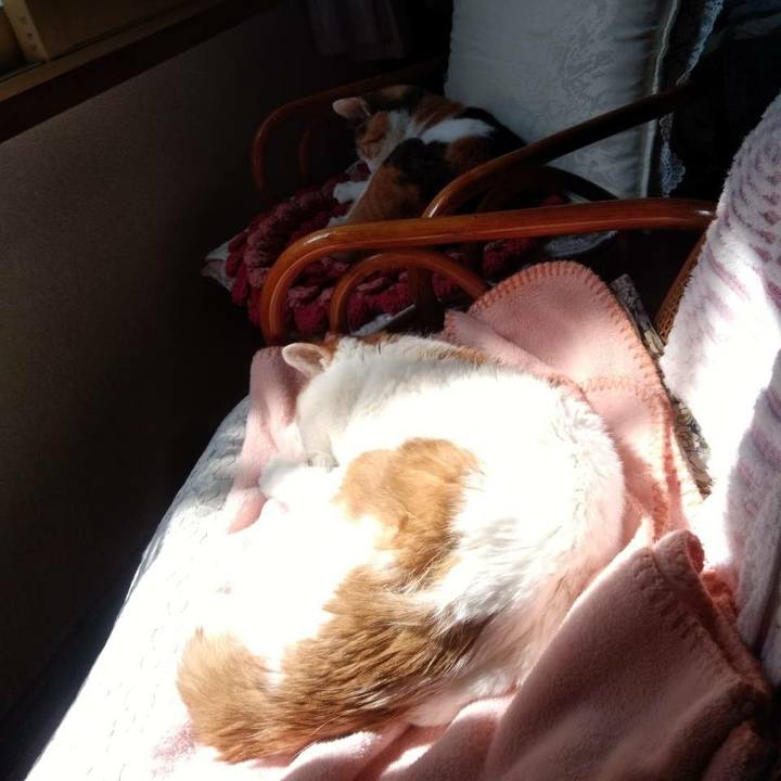 342ba590 b72d 4cca b7cf 86acfc7bacca 1586582689045