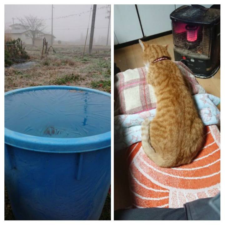 342bae22 70ac 4349 8cd0 572ed6d2aa54 1605132380228