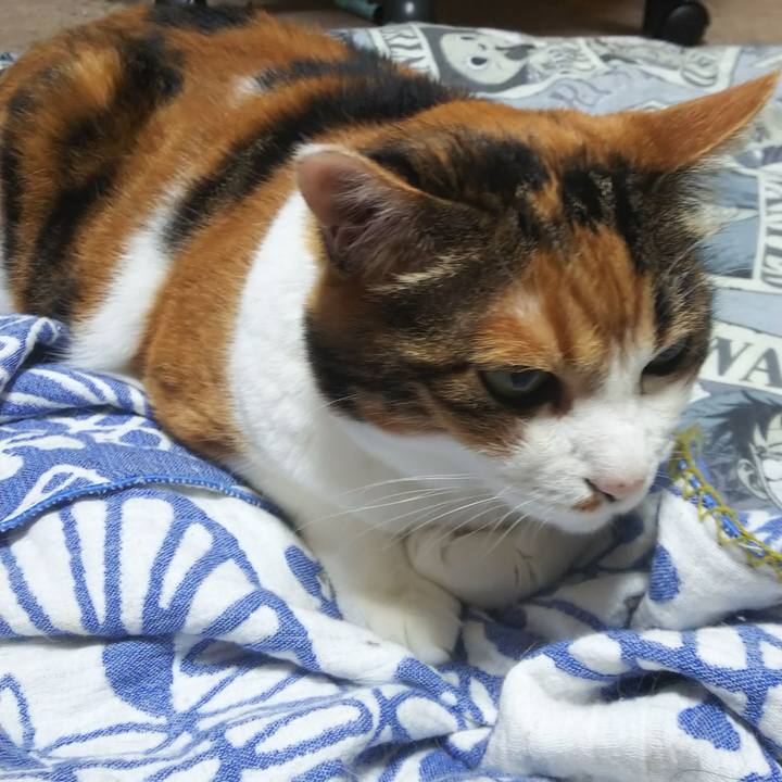 342bb5fd e31b 4e2c baa9 64bdddaaeada 1568151820980