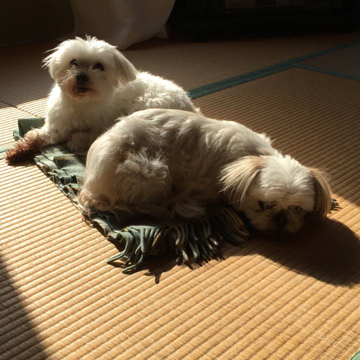 342bde0c a93c 46f3 8ae1 dc6437ba1645 1616818808749