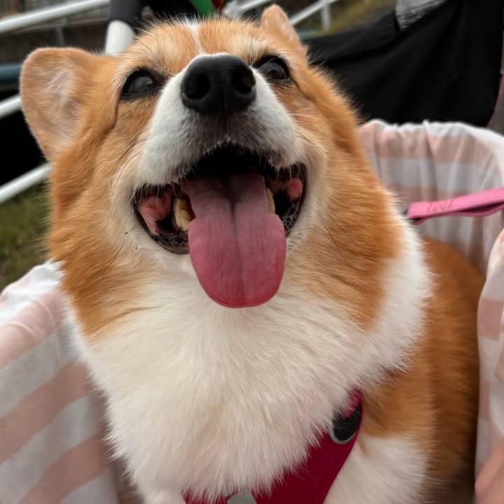 342bf75e 6f4a 4e16 aeef c46e28b118a8 1728269434180