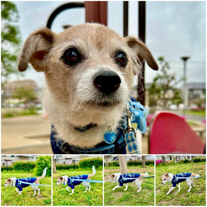 342c04d7 cf23 4006 8e84 0286ac5f86db 1714519523305