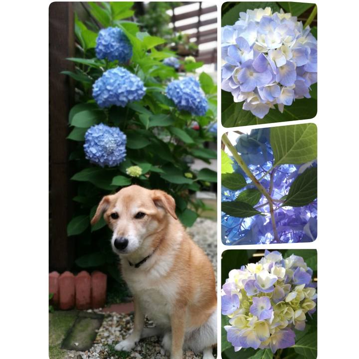 342c248d 8d39 4cb4 ab23 4e7e6fd021c1 1527462745183