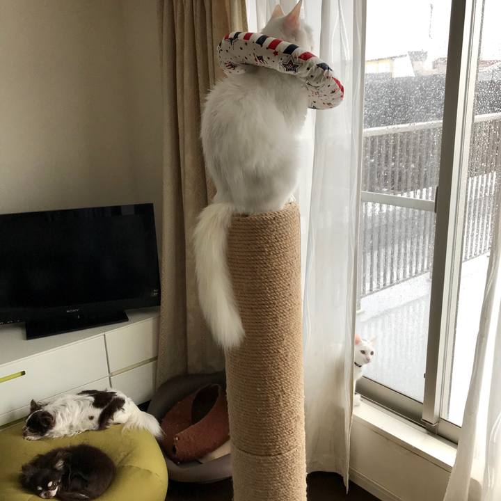 342c2753 de68 463f b6b1 b6272fd27782 1571704923244