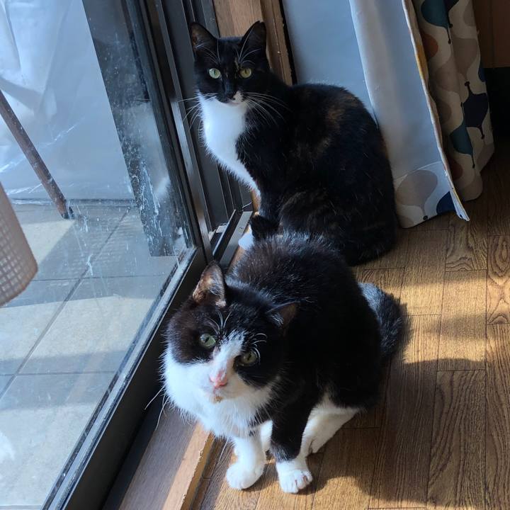 342c2e04 d24b 44d8 806b f8ee48e3c778 1602980961806