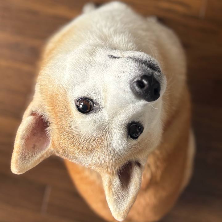 342c6f28 1742 4e85 9a32 90abec965ac7 1738529279626