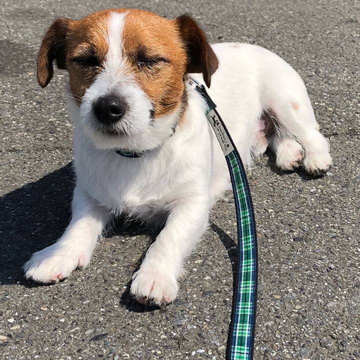 342c90a7 c8dd 4ebd a446 838dfd3ebc8f 1521990225443