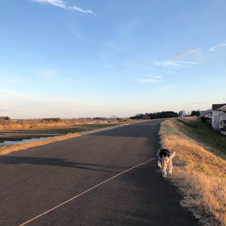 342c9346 5a71 43a2 9bd3 0a7e11193cde 1577708756020