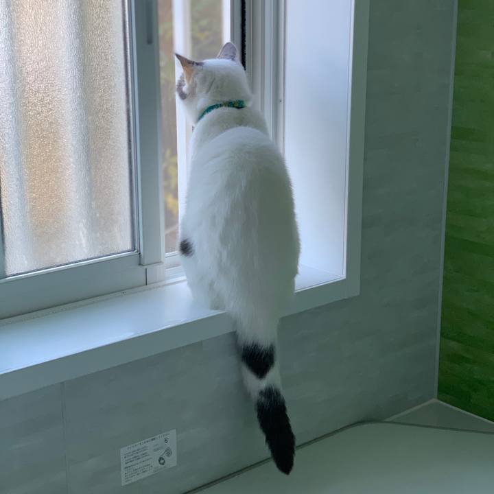 342cf610 dbdc 4831 95a5 31c8c7f88a29 1637020629669