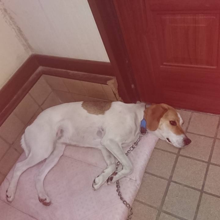 342d1f54 0d96 4cbf 892c 6c41ab41e78e 1560522244927