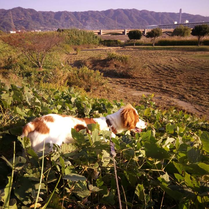 342d3fd7 5a97 4971 995b 2f21b3a2beb1 1510747326272