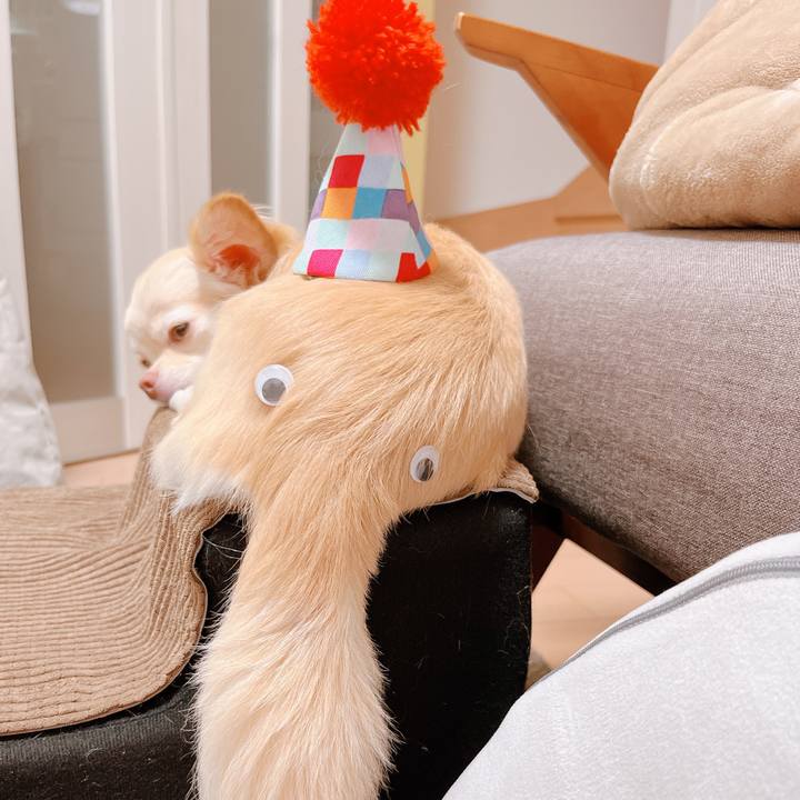 342d78c7 bd9f 4de1 a380 6de1d16574f2 1661767256944