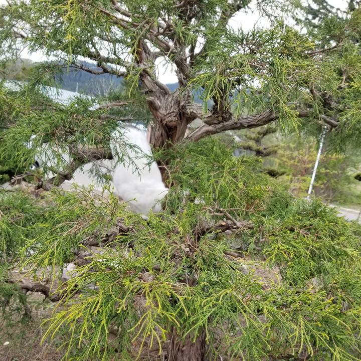 342dab4b d9eb 4178 bd29 9f9b25ef1d5c 1652445182267