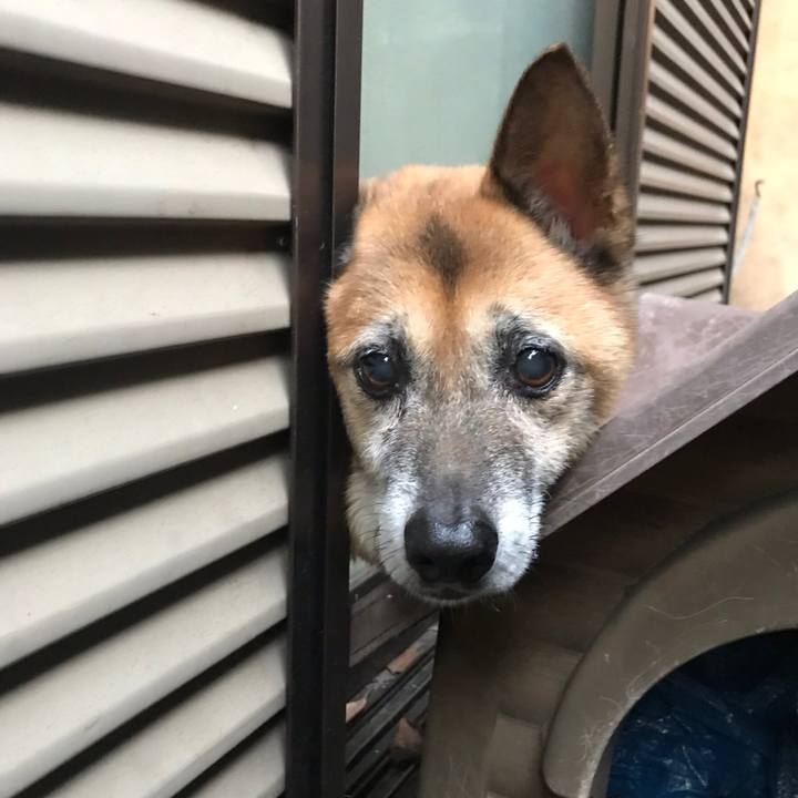 342dd3dd ac4d 4461 9cb8 99bffaca291e 1539677616860