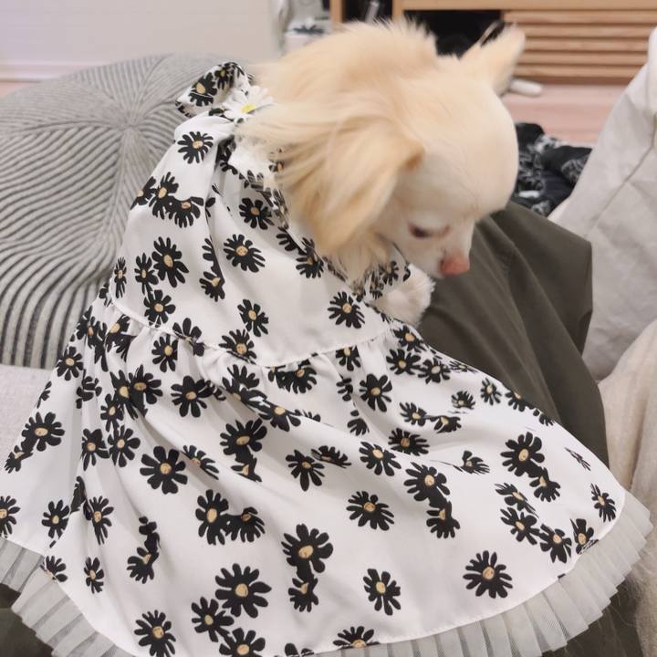 342dd9a3 c10e 4910 ac1b 0592c644b09d 1744720549178