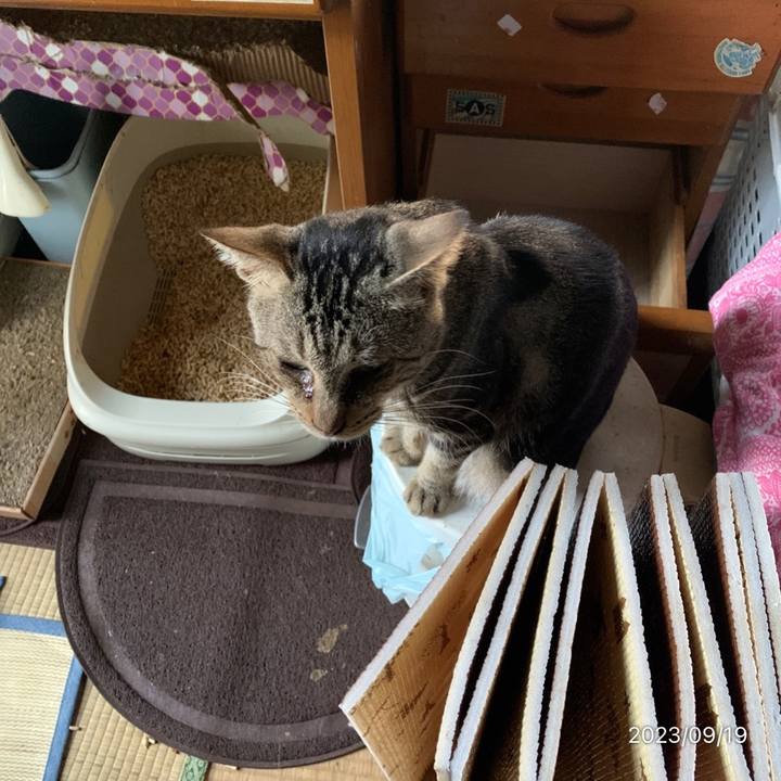 342df4e4 0b11 4996 94f4 d03207ca809f 1695074461761