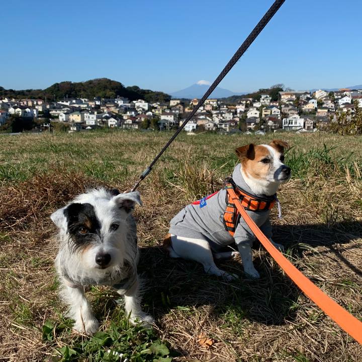 342e2666 e7aa 4d24 832a fbe966874f54 1637805257343