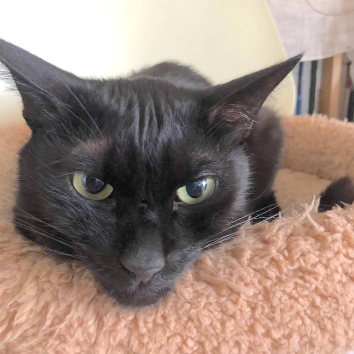 342e48a0 535f 42ad 8555 2d2924ab4517 1561376801005