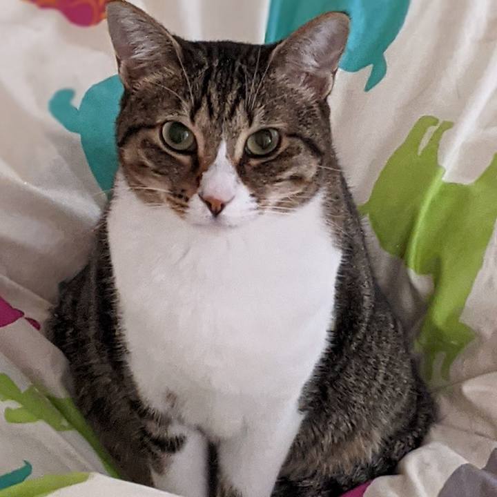 342e5566 c064 4fb6 b827 c720158a8ac0 1622564664822