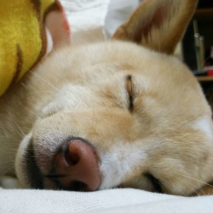 342ec829 1584 496d af61 3f57564842df 1509108847182