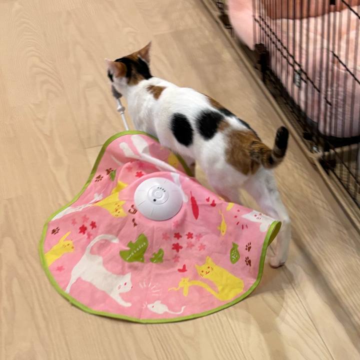 342ed514 ae4d 4c15 b9ee 7bd36124ce21 1764132913617