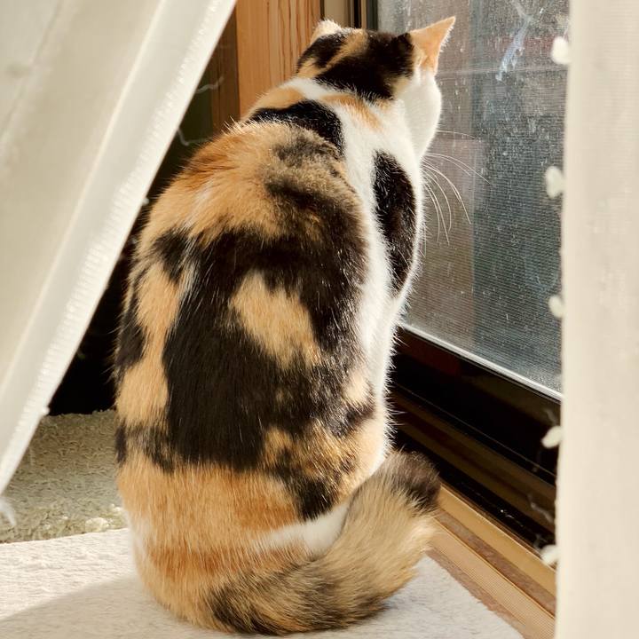 342ed564 cd37 4106 b605 ecec5480b16b 1541990392325