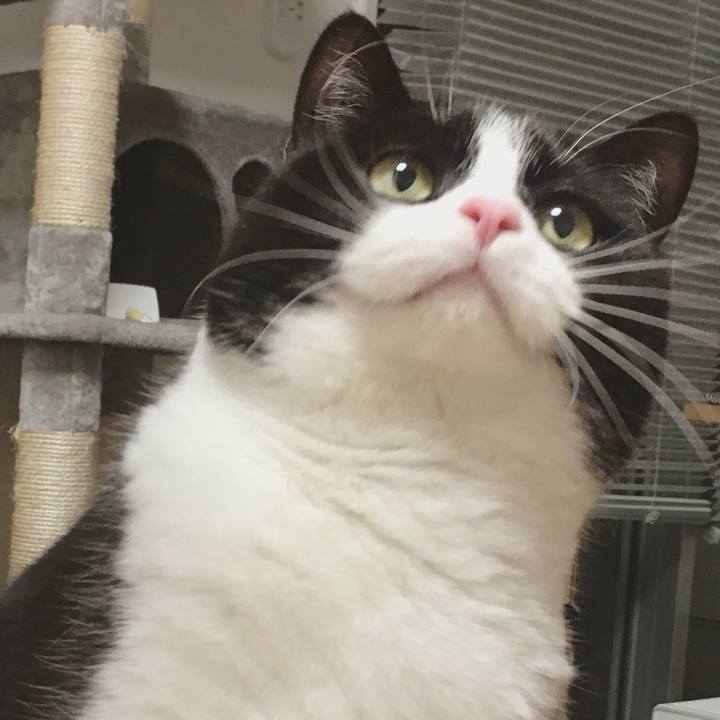 342efbf6 468d 4033 bfea 2ee4bcdc33a3 1582454612502