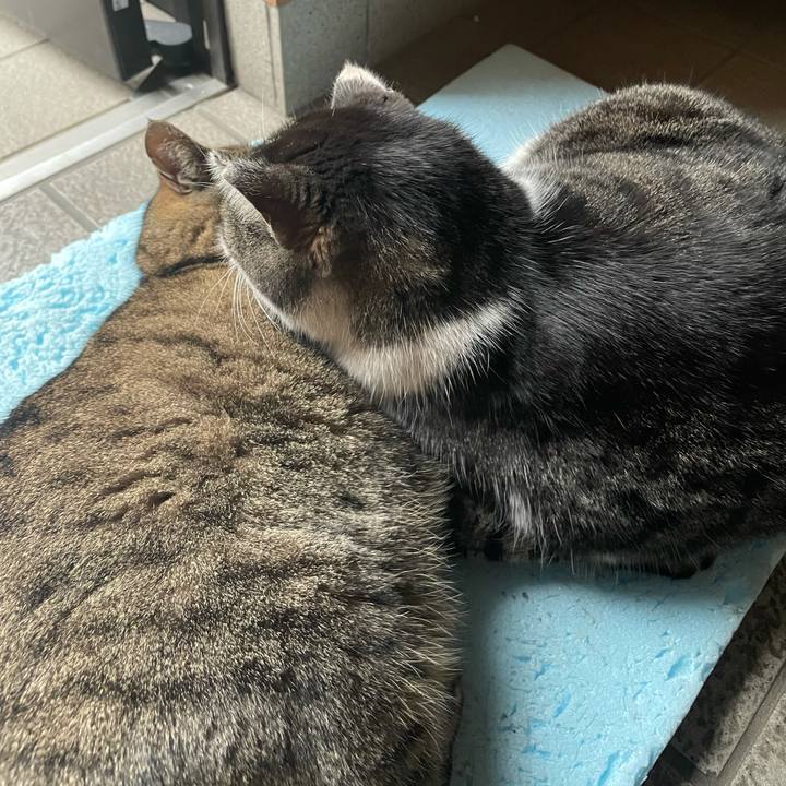 342f1017 fb1b 48a6 9096 9306a08f61cb 1614339189937