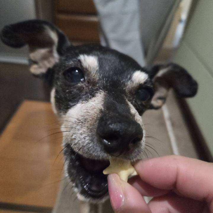 342f2306 6bc3 47b3 9a79 1a03bc92c1ce 1773604604741