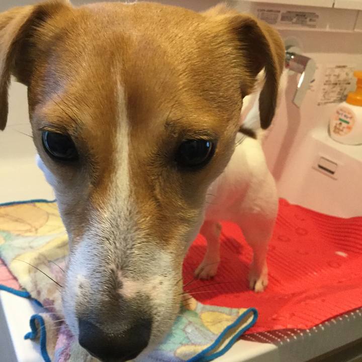 342f2b42 e246 41ee 8e92 5176a9a5e121 1522192508805