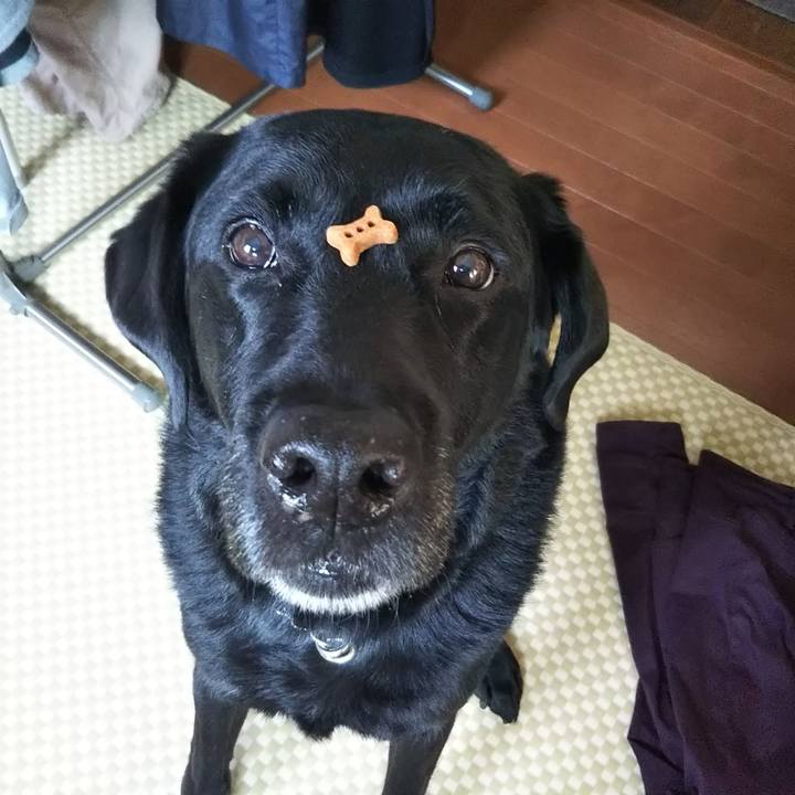 342f323a 79c6 4b50 9888 349535ae3053 1691806868482