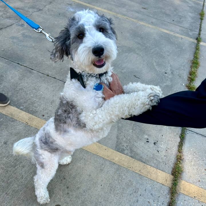 342f532e 973a 4c23 97c8 325a0a94de88 1761140649515