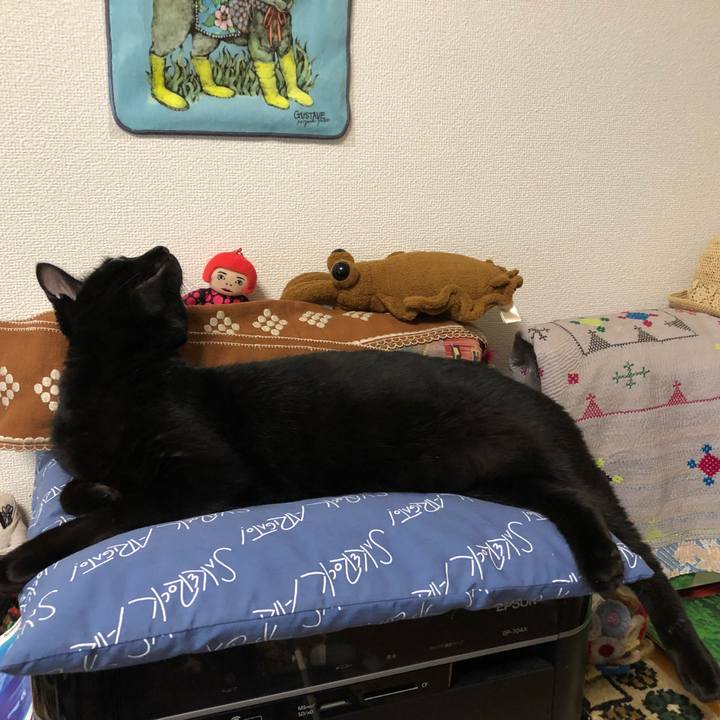 342fd9a2 3674 4406 86c6 1d685c0d7600 1529495268516