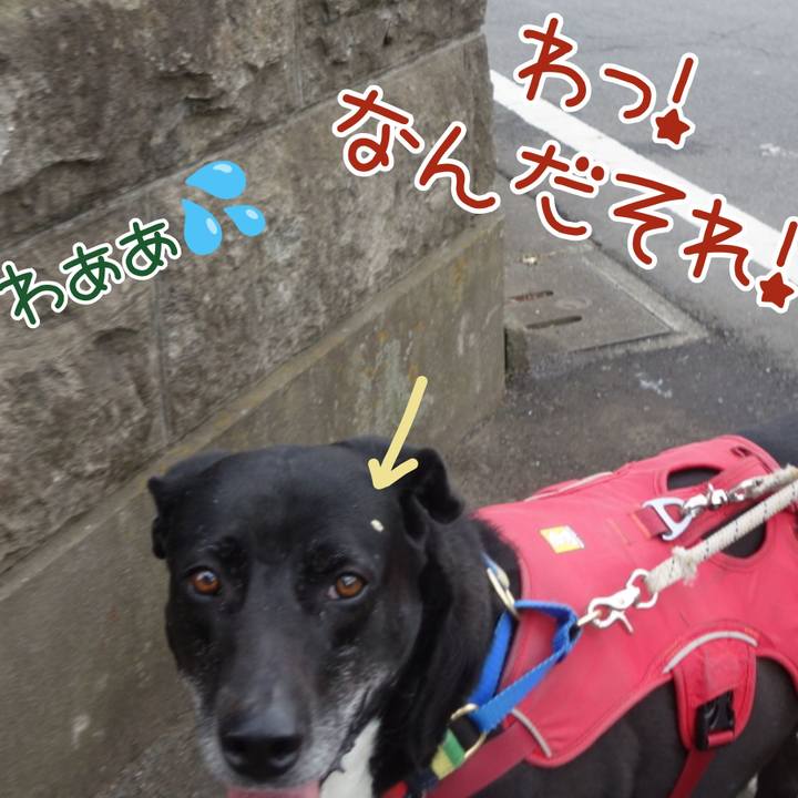 342fdcae cf34 461b b0a9 23b01f377077 1680914722053